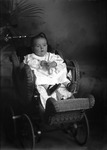 Box 10, Neg. No. 4587A: Baby in a Carriage by William R. Gray