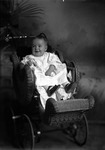 Box 10, Neg. No. 4587B: Baby in a Carriage by William R. Gray