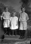 Box 10, Neg. No. 4774: Rixon Children by William R. Gray