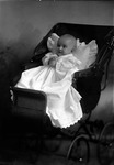 Box 10, Neg. No. 4785C: Baby in a Carriage