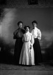 Box 10, Neg. No. 4845: Nellie Nelson, Blanche Shell and an Unidentified Woman by William R. Gray