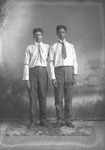 Box 10, Neg. No. 4825B: Two Black Men Standing by William R. Gray