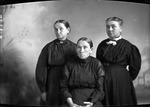 Box 10, Neg. No. 4823B: Three Women by William R. Gray