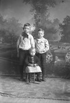 Box 11, Neg. No. 4956: Chaney Children by William R. Gray