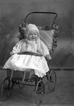 Box 11, Neg. No. 6297A: Baby in a Stroller