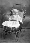 Box 11, Neg. No. 6297B: Baby in a Stroller