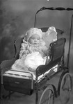 Box 11, Neg. No. 6227A: Baby in a Carriage