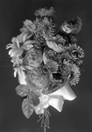 Box 12, Neg. No. 6322: Bouquet of Flowers by William R. Gray