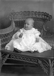 Box 12, Neg. No. 6331: Baby on a Wicker Chair by William R. Gray