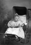 Box 12, Neg. No. 6405C: Baby in a Stroller by William R. Gray