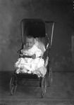 Box 12, Neg. No. 6628: Baby Leaning Forward in a Stroller