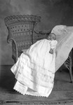 Box 12, Neg. No. 6626: Baby in a Christening Gown by William R. Gray