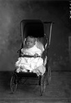 Box 12, Neg. No. 6628X: Baby Leaning Forward in a Stroller by William R. Gray