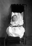 Box 13, Neg. No. 9083B: Baby Strapped in a Stroller