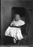 Box 13, Neg. No. 8963D: Baby Sitting Up in a Stroller