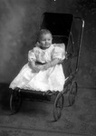 Box 14, Neg. No. 9586: Baby in a Stroller