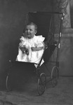 Box 15, Neg. No. 9773: Baby in a Stroller
