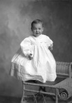 Box 15, Neg. No. 9809: Baby Sitting on a Chair