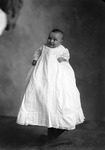 Box 15, Neg. No. 9979: Baby in a Christening Gown