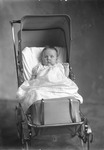Box 16, Neg. No. 11084: Baby in a Stroller