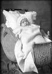 Box 16, Neg. No. 15046: Baby in a Carriage