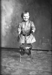 Box 17, Neg. No. 15099: Boy Standing Behind a Chair