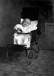 Box 17, Neg. No. 12063-2: Baby in a Stroller