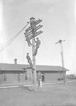 Box 17, Neg. No. 16088: Linemen on a Lightpole