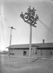 Box 17, Neg. No. 16088: Linemen on a Lightpole