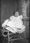 Box 18, Neg. No. 17044: Baby in a Chair