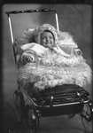 Box 18, Neg. No. 17072: Baby in a Stroller