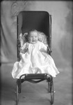 Box 18, Neg. No. 19015: Baby in a Stroller