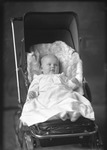 Box 18, Neg. No. 19073: Baby in a Stroller