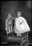 Box 19, Neg. No. 25084: Baby on a Chair