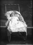 Box 19, Neg. No. 25087: Baby in a Carriage