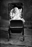 Box 20, Neg. No. 26039: Baby in a Stroller