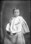 Box 20, Neg. No. 28073: Baby Wearing a Light Dress