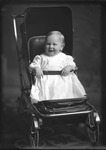 Box 20, Neg. No. 29002R: Baby in a Stroller