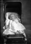 Box 20, Neg. No. 29027R: Baby in a Stroller