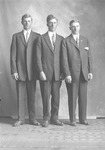 Box 21, Neg. No. 30176: Three Men Standing