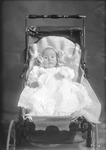 Box 21, Neg. No. 30241: Baby in a Stroller