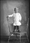 Box 23, Neg. No. 30699: Boy Standing on a Chair