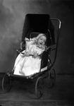 Box 23, Neg. No. 6652: Baby in a Stroller