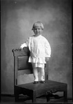 Box 24, Neg. No. 48451: Boy Standing on a Chair