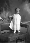 Box 25, Neg. No. 50005: Baby Standing on a Chair