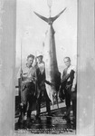 Box 26-2, Neg. No. Unknown: Three Men with a Swordfish