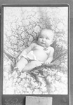 Box 27, Neg. No. 39111: Baby Nestled in Blankets
