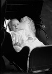 Box 28, Neg. No. 39587: Baby in a Stroller
