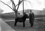 Box 28, Neg. No. 36949: Man Standing with a Pony
