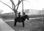 Box 28, Neg. No. 39649: Child on a Pony